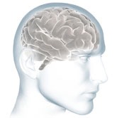 Amnesia Digital