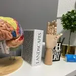 ¿Qué es la Terapia Ocupacional?